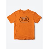 Прикольные футболки для мальчика Мистер На ручки | Клевые детские футболки с необычными принтами